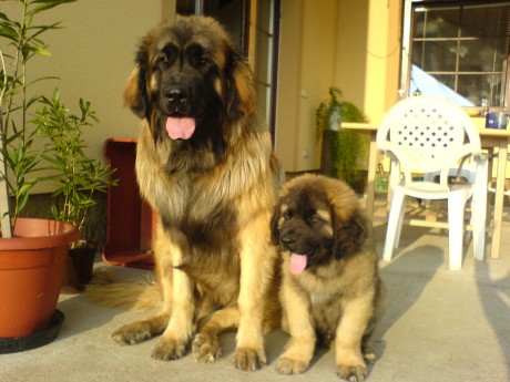 5.6.07 za chvíli tě dorostu Akime.JPG